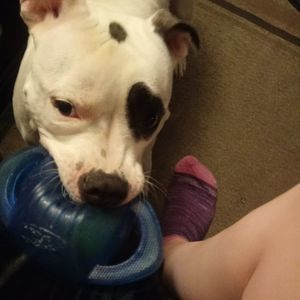 Meet your Posher, Judy